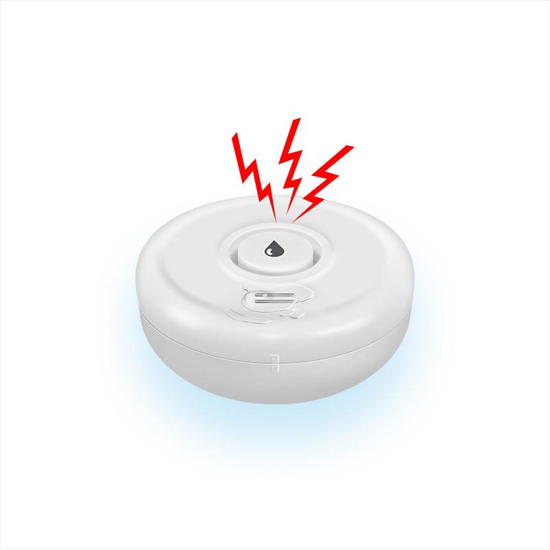Wireless Water Detector