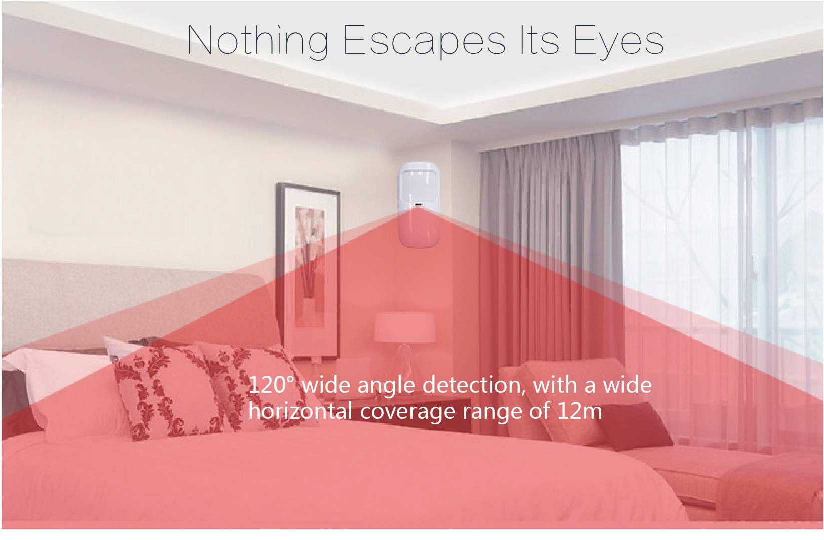 433MHz motion sensor supplier (3)