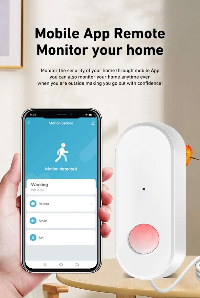 wifi motion sensor -1